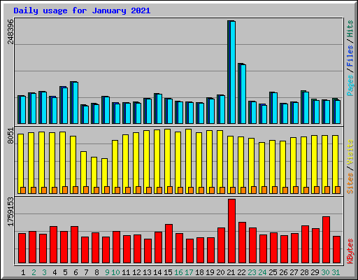 Daily usage for January 2021