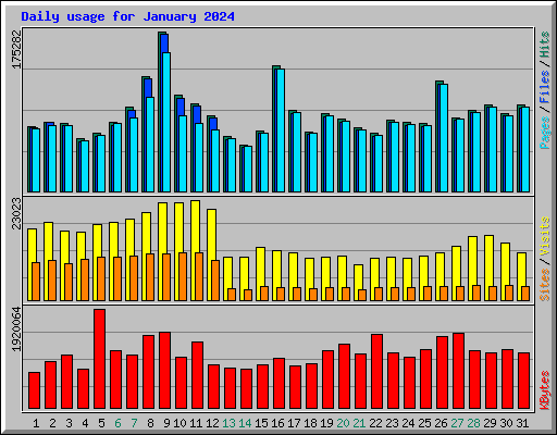 Daily usage for January 2024