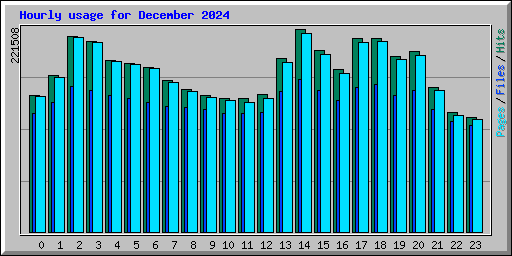 Hourly usage for December 2024