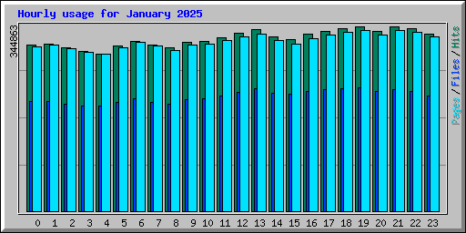 Hourly usage for January 2025