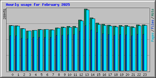 Hourly usage for February 2025