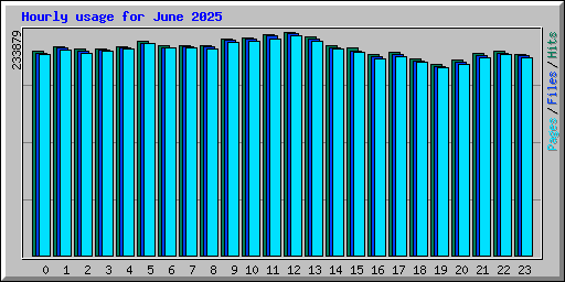 Hourly usage for June 2025