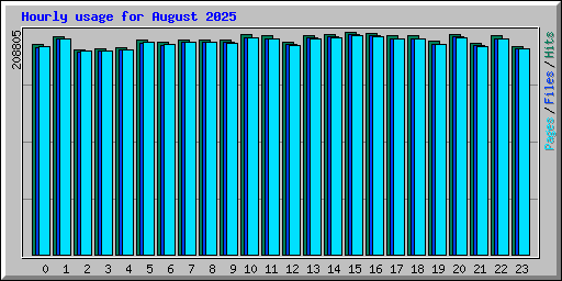 Hourly usage for August 2025