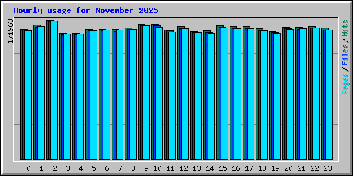 Hourly usage for November 2025