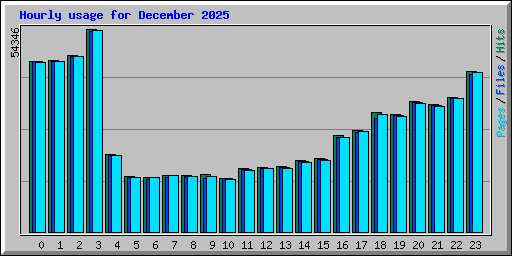 Hourly usage for December 2025