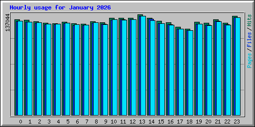 Hourly usage for January 2026