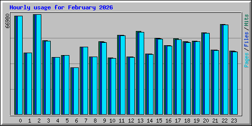 Hourly usage for February 2026