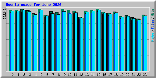 Hourly usage for June 2026