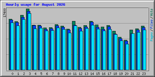 Hourly usage for August 2026