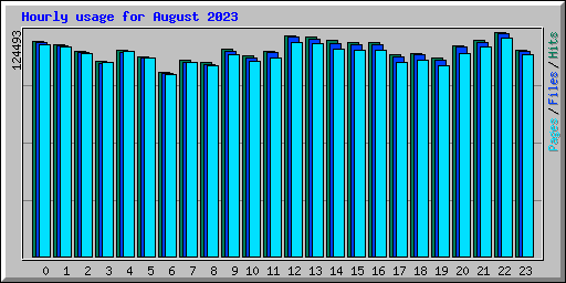 Hourly usage for August 2023