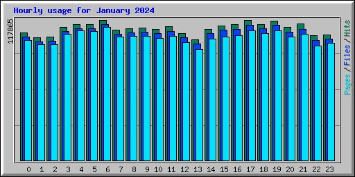 Hourly usage for January 2024