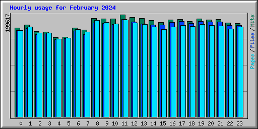 Hourly usage for February 2024