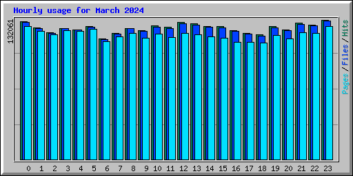 Hourly usage for March 2024