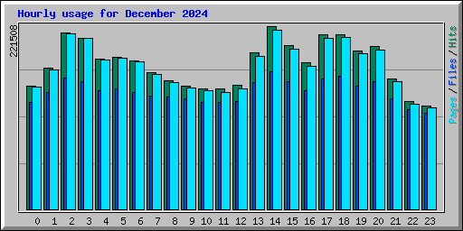 Hourly usage for December 2024