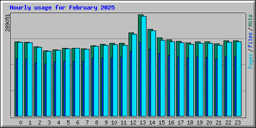 Hourly usage for February 2025