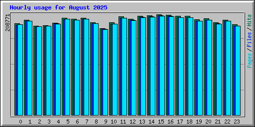 Hourly usage for August 2025