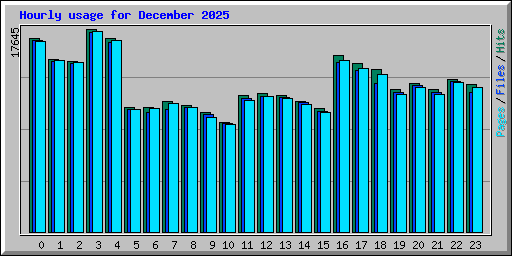 Hourly usage for December 2025