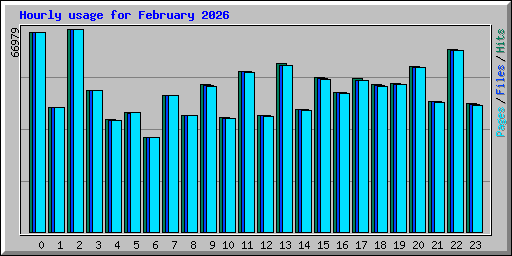 Hourly usage for February 2026